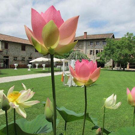 Agriturismo Il Vagabondo Buttrio Kültér fotó
