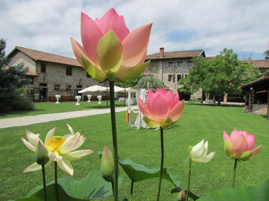 Agriturismo Il Vagabondo Buttrio Kültér fotó